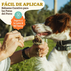 PawTection fácil de aplicar en español